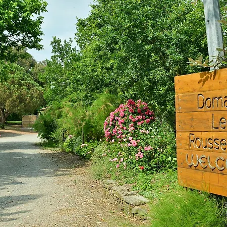Prázdninový dům Domaine Les Rousselieres *