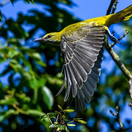 Domaine Les Rousselieres * اولونْ-سور-مير