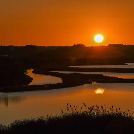 Domaine Les Rousselieres * Olonne-sur-Mer
