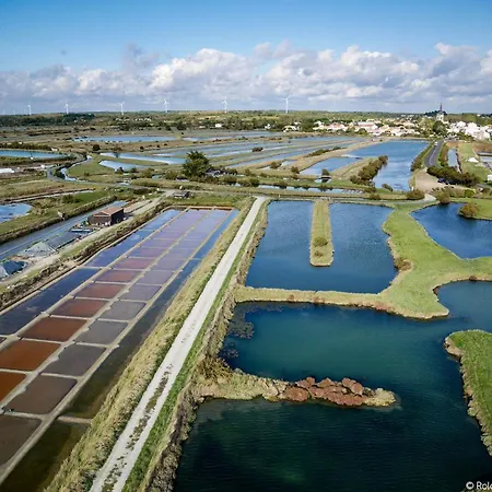 Domaine Les Rousselieres اولونْ-سور-مير