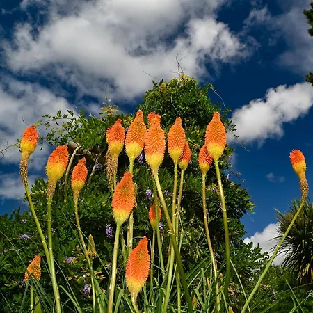 Domaine Les Rousselieres اولونْ-سور-مير