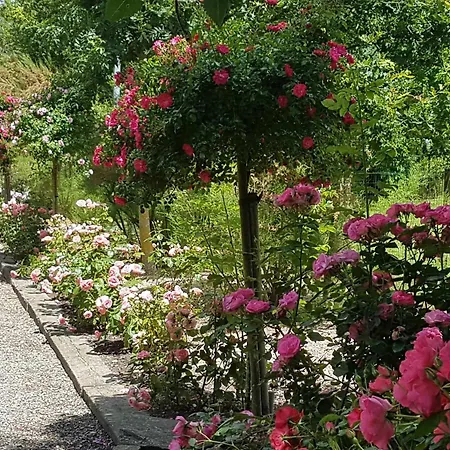 Domaine Les Rousselieres *