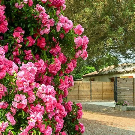 بيت للعطل Domaine Les Rousselieres